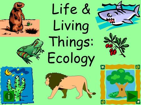 Life & Living Things: Ecology Objective : Identifying the 4 basic needs of living things (animals). (Strand VIII-A2) Related Vocabulary: specific denspout.