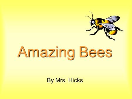 Amazing Bees By Mrs. Hicks.