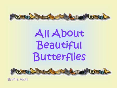 All About Beautiful Butterflies