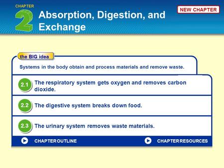 NEW CHAPTER Absorption, Digestion, and Exchange CHAPTER the BIG idea CHAPTER OUTLINE Systems in the body obtain and process materials and remove waste.