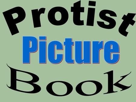 Protist Picture Book.