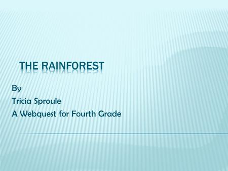 By Tricia Sproule A Webquest for Fourth Grade. The rainforest is important to the ecosystem. It is the home to unique animals and plants. It also helps.