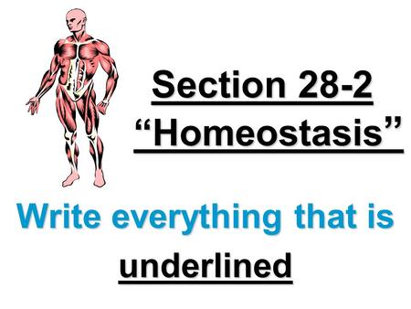 Section 28-2 “Homeostasis”