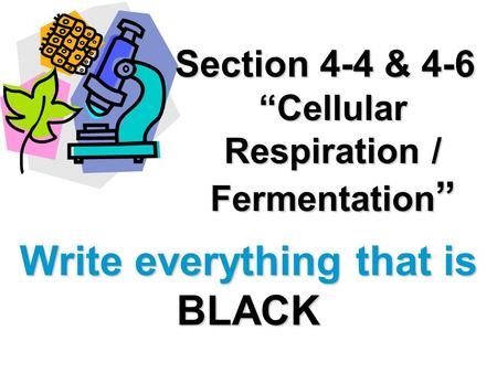 Section 4-4 & 4-6 “Cellular Respiration / Fermentation”