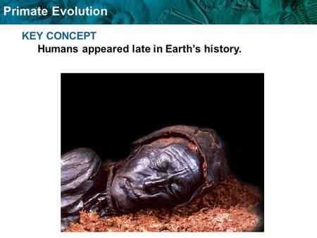KEY CONCEPT  Humans appeared late in Earth’s history.