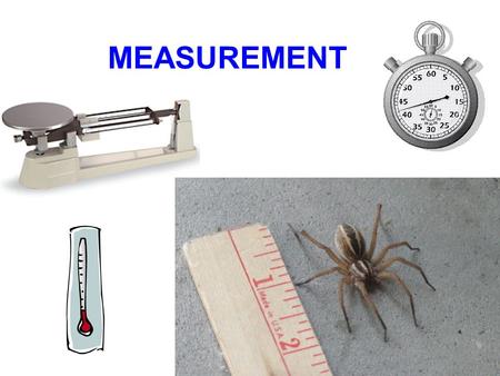 MEASUREMENT.