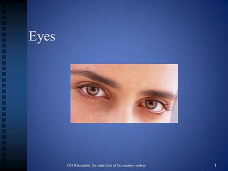 Eyes 3.03 Remember the structures of the sensory system 1.