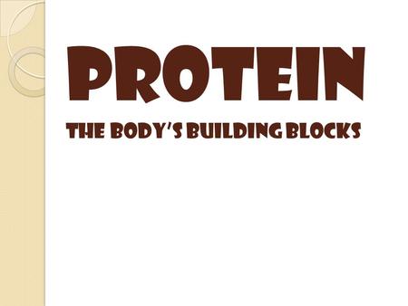 Protein The body’s building blocks.
