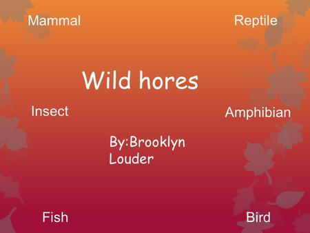 By:Brooklyn Louder Wild hores Mammal Reptile BirdFish Insect Amphibian.