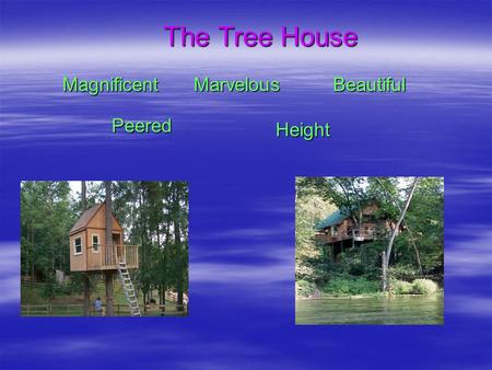 The Tree House MagnificentMarvelousBeautiful Peered Height.
