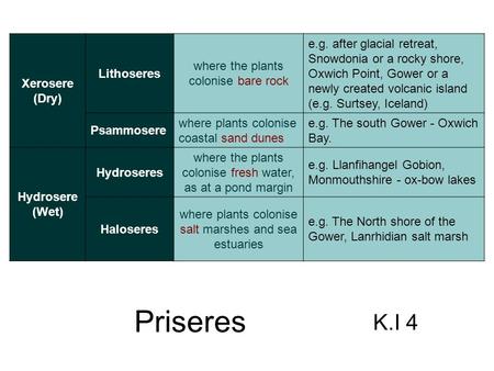 Plant successions from bare ground are known as priseres