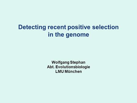 Detecting recent positive selection in the genome Wolfgang Stephan Abt. Evolutionsbiologie LMU München.