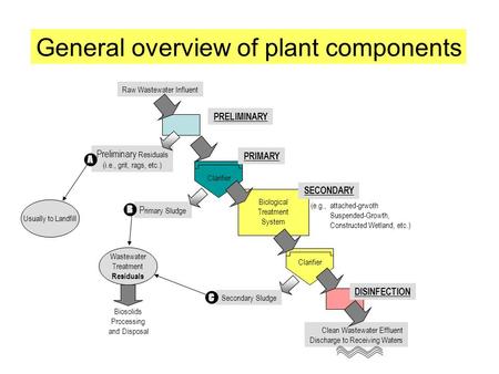 General overview of plant components