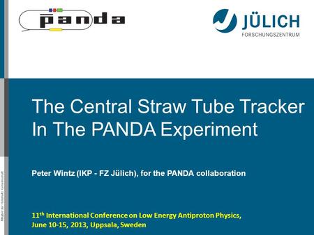 The Central Straw Tube Tracker In The PANDA Experiment