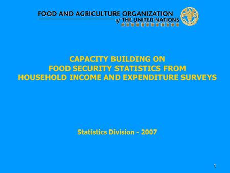 1 CAPACITY BUILDING ON FOOD SECURITY STATISTICS FROM HOUSEHOLD INCOME AND EXPENDITURE SURVEYS Statistics Division - 2007.