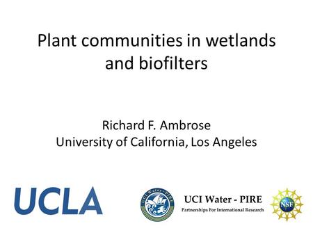 Plant communities in wetlands and biofilters Richard F. Ambrose University of California, Los Angeles.