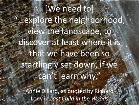 [We need to] “…explore the neighborhood, view the landscape, to discover at least where it is that we have been so startlingly set down, if we can’t learn.
