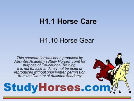 H1.1 Horse Care H1.10 Horse Gear