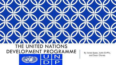 The united nations development programme