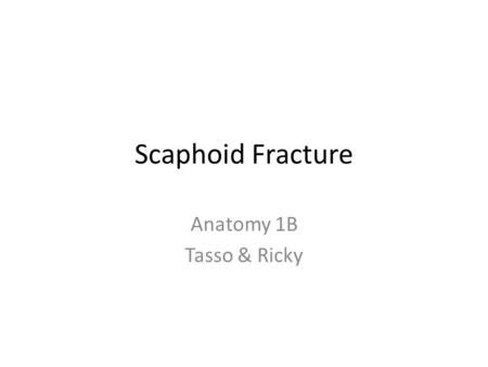 Scaphoid Fracture Anatomy 1B Tasso & Ricky. The Scaphoid Bone The scaphoid bone is one of the eight “carpal bones” of the wrist. The scaphoid is located.
