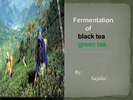 By: Sajida!. The processing of black tea is done in four main steps: 1.Withering 2.Rolling 3.Fermentation 4.Drying.