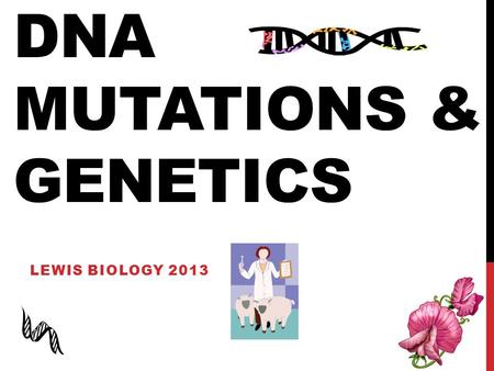 DNA Mutations & Genetics