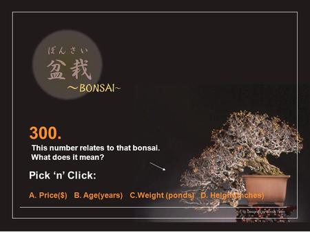 300. This number relates to that bonsai. What does it mean? Pick ‘n’ Click: A. Price($) B. Age(years) C.Weight (ponds) D. Height(inches)