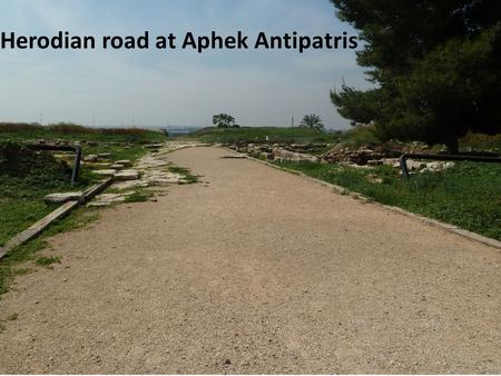 Herodian road at Aphek Antipatris. Proverbs 3.5-6 NASB: 5 Trust in the LORD with all your heart / And do not lean on your own understanding. 6 In all.