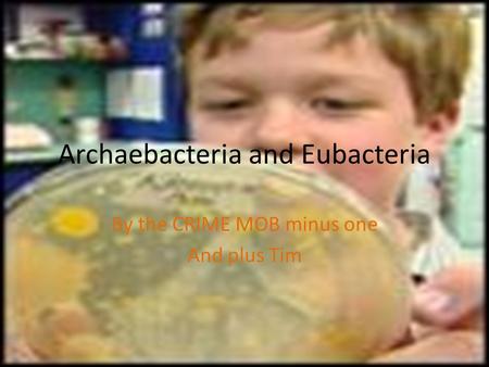 Archaebacteria and Eubacteria By the CRIME MOB minus one And plus Tim.