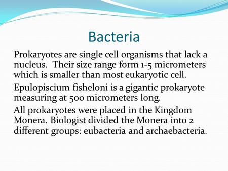 Bacteria Prokaryotes are single cell organisms that lack a nucleus. Their size range form 1-5 micrometers which is smaller than most eukaryotic cell. Epulopiscium.