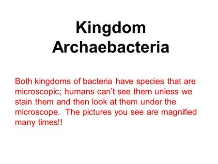 Kingdom Archaebacteria Both kingdoms of bacteria have species that are microscopic; humans can’t see them unless we stain them and then look at them under.