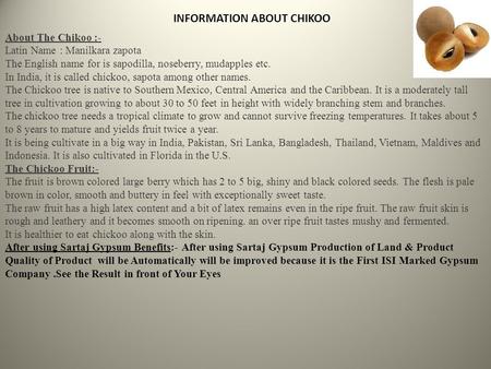 INFORMATION ABOUT CHIKOO