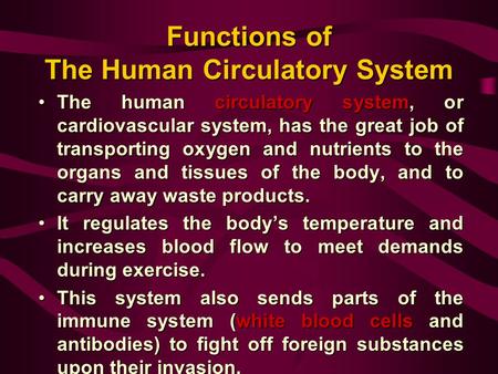 Functions of The Human Circulatory System The human circulatory system, or cardiovascular system, has the great job of transporting oxygen and nutrients.