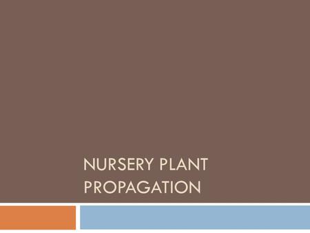 NURSERY PLANT PROPAGATION. Nursery Propagation Practices  Why use propagation?  More control of production & growth  Improved disease resistance 