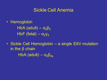 Sickle Cell Anemia Hemoglobin HbA (adult) – α 2 β 2 HbF (fetal) – α 2 γ 2 Sickle Cell Hemoglobin – a single E6V mutation in the β chain HbA (adult) – α.