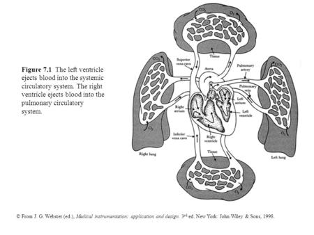 © From J. G. Webster (ed.), Medical instrumentation: application and design. 3 rd ed. New York: John Wiley & Sons, 1998. Figure 7.1 The left ventricle.