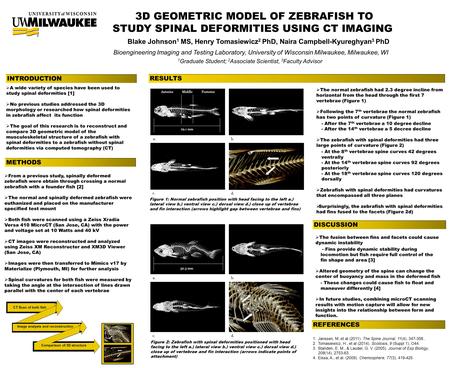  The normal zebrafish had 2.3 degree incline from horizontal from the head through the first 7 vertebrae (Figure 1)  Following the 7 th vertebrae the.