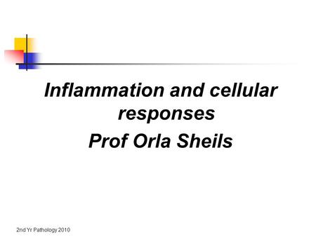 2nd Yr Pathology 2010 Inflammation and cellular responses Prof Orla Sheils.
