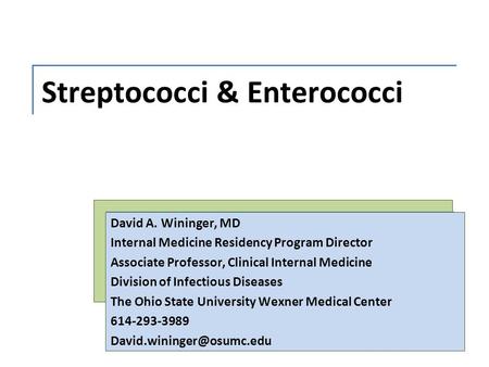 Streptococci & Enterococci David A. Wininger, MD Internal Medicine Residency Program Director Associate Professor, Clinical Internal Medicine Division.
