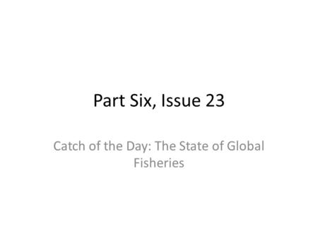 Catch of the Day: The State of Global Fisheries