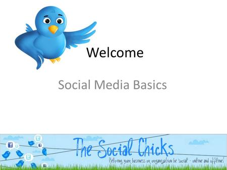 Welcome Social Media Basics. Who: Three social chicks with a passion for engagement, collaboration and building relationships online and