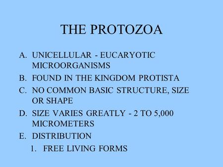 THE PROTOZOA UNICELLULAR - EUCARYOTIC MICROORGANISMS