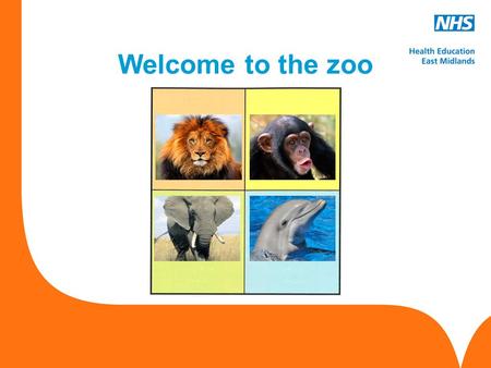 Www.hee.nhs.uk Welcome to the zoo. Innovation & Improvement in the NHS & learning from you Orlando Hampton Innovation Development Manager Health Education.