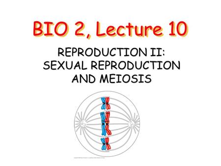 REPRODUCTION II: SEXUAL REPRODUCTION AND MEIOSIS