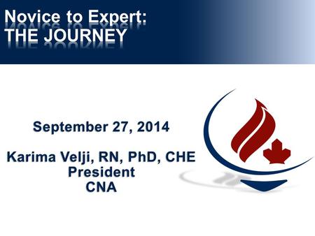 September 27, 2014 Karima Velji, RN, PhD, CHE President CNA.