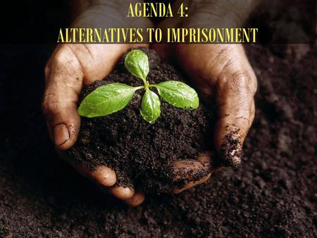 Agenda 4 AGENDA 4: ALTERNATIVES TO IMPRISONMENT. Canada Fiji India (Bihar, Andhra Pradesh, Tamil Nadu) Malaysia Experiences shared by: Thailand Brunei.