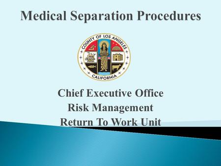 Chief Executive Office Risk Management Return To Work Unit.