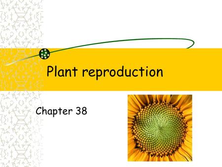 Plant reproduction Chapter 38.
