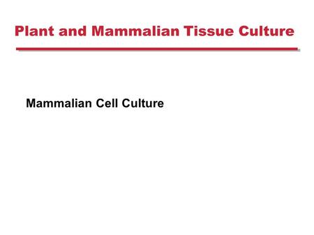 Plant and Mammalian Tissue Culture Mammalian Cell Culture.