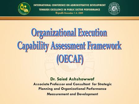 Organizational Execution Capability Assessment Framework